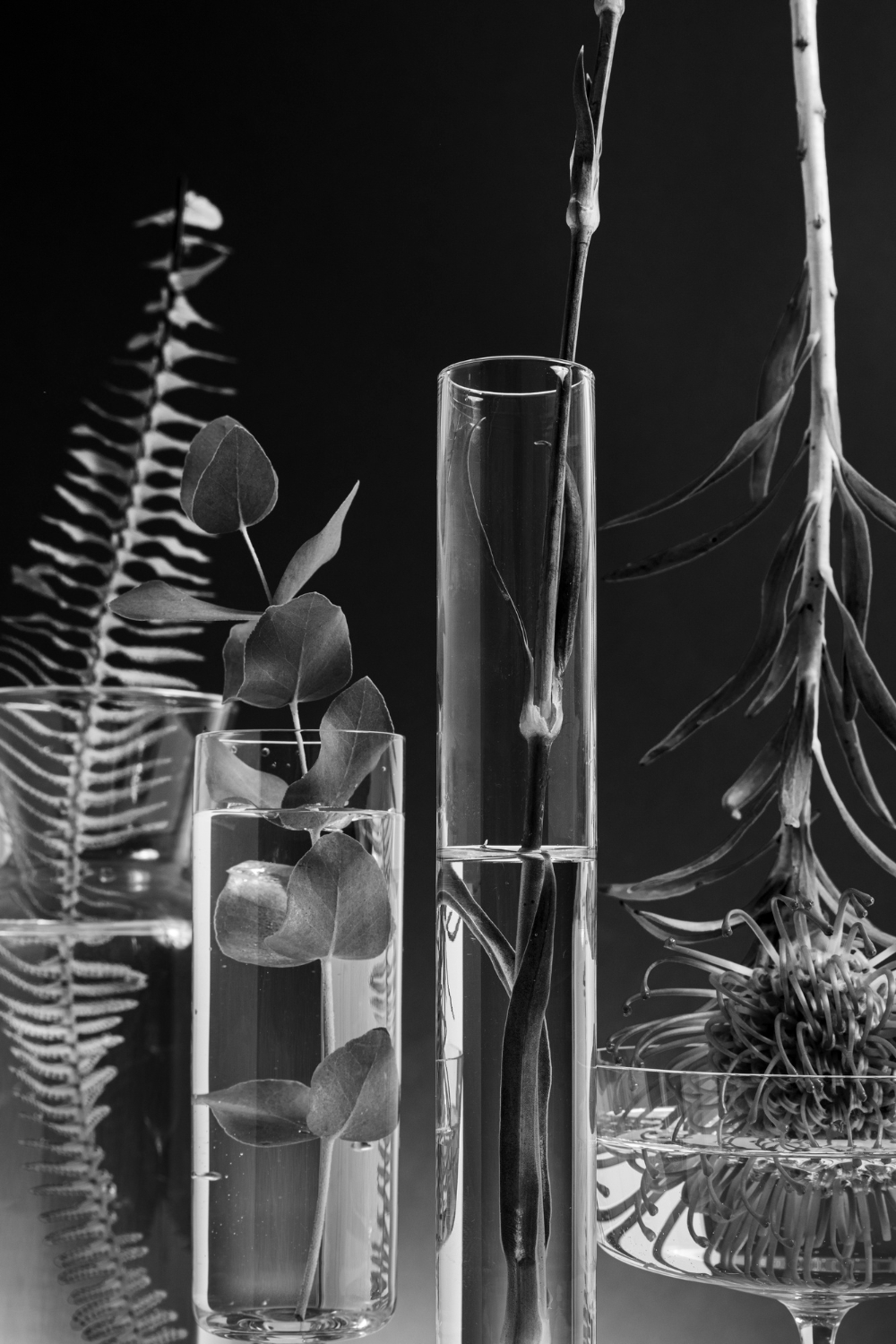 Advanced Laboratory Science